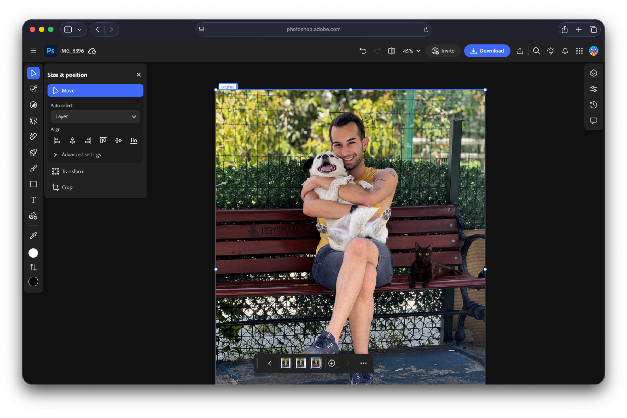 Photoshop Harmonize cat bench after